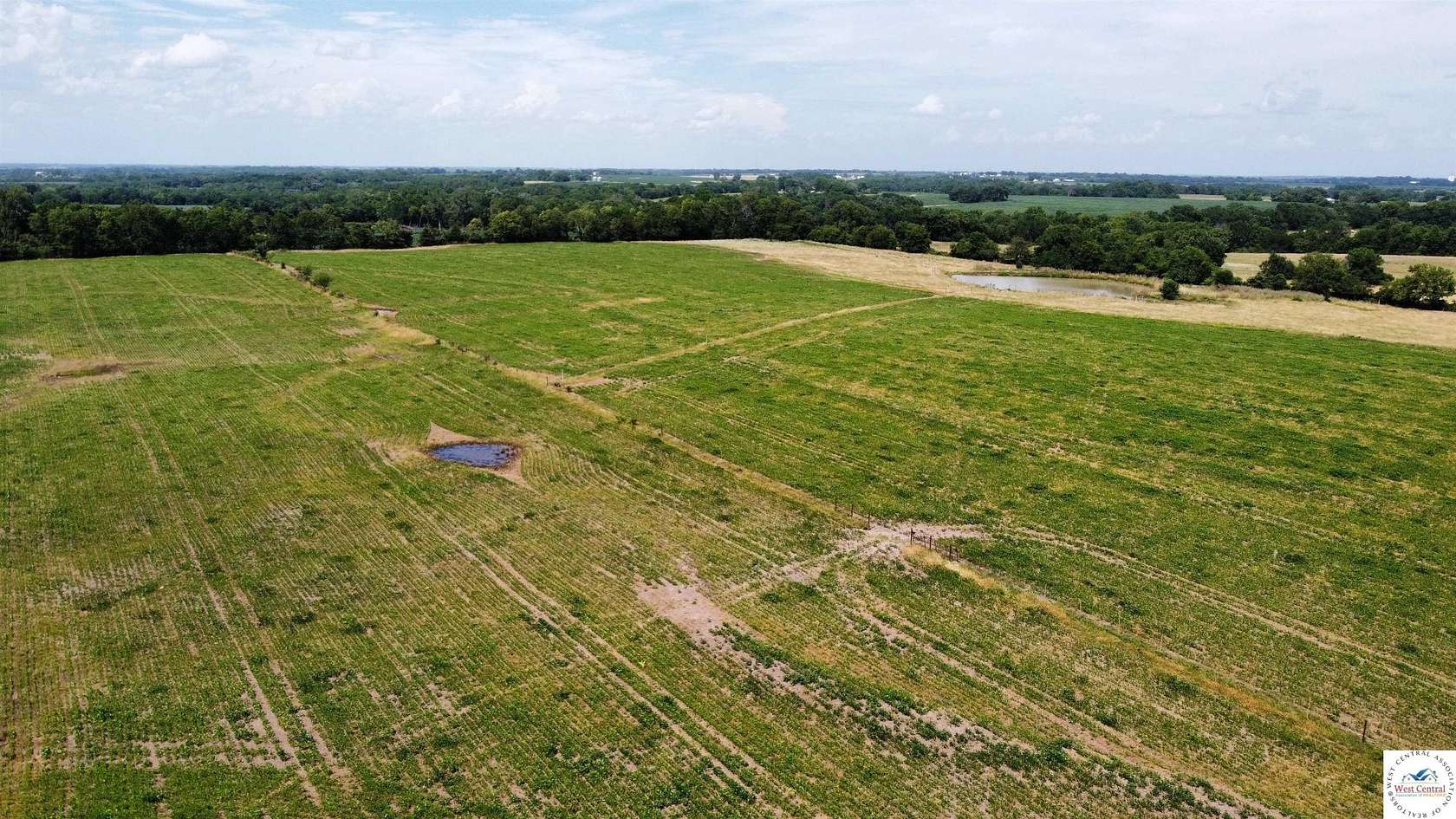 89 Acres of Land for Sale in Centerview, Missouri