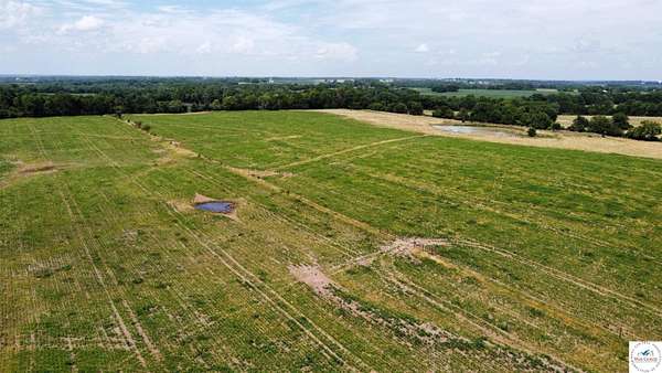 89 Acres of Land for Sale in Centerview, Missouri