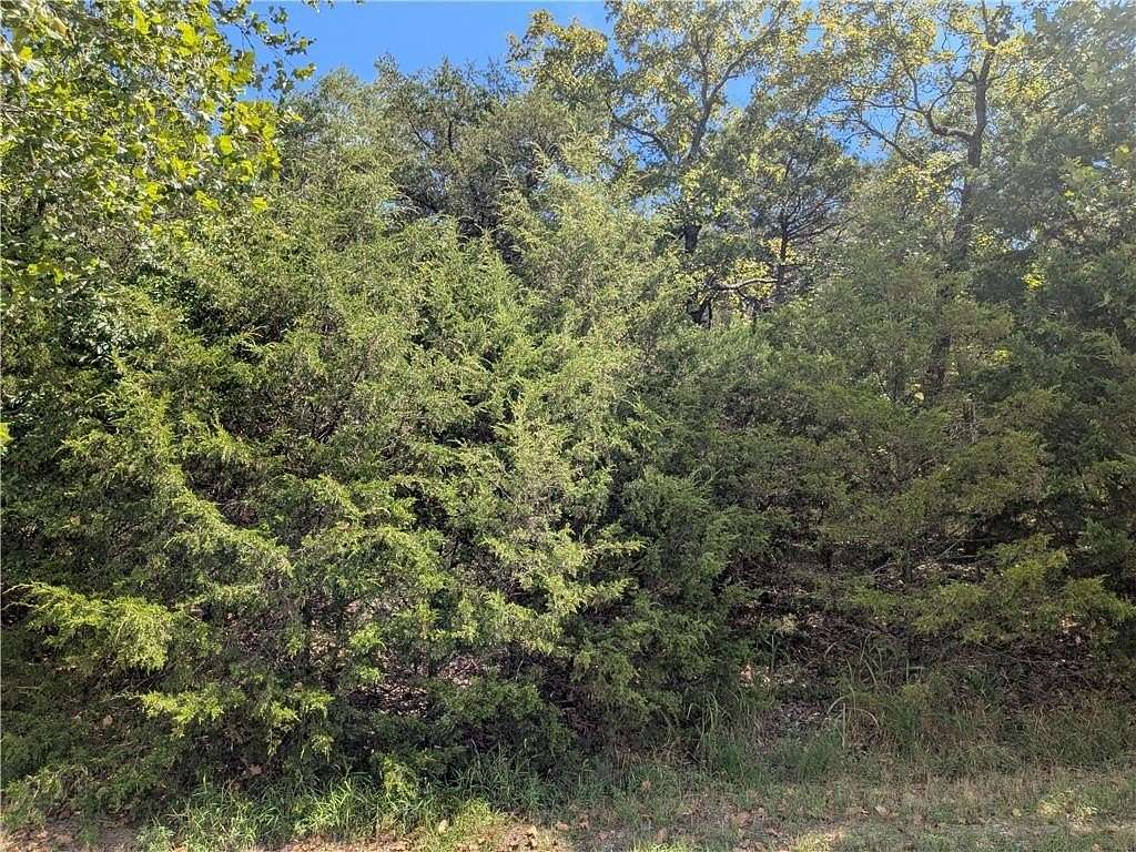 0.38 Acres of Residential Land for Sale in Holiday Island, Arkansas