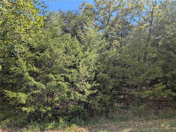 0.38 Acres of Residential Land for Sale in Holiday Island, Arkansas