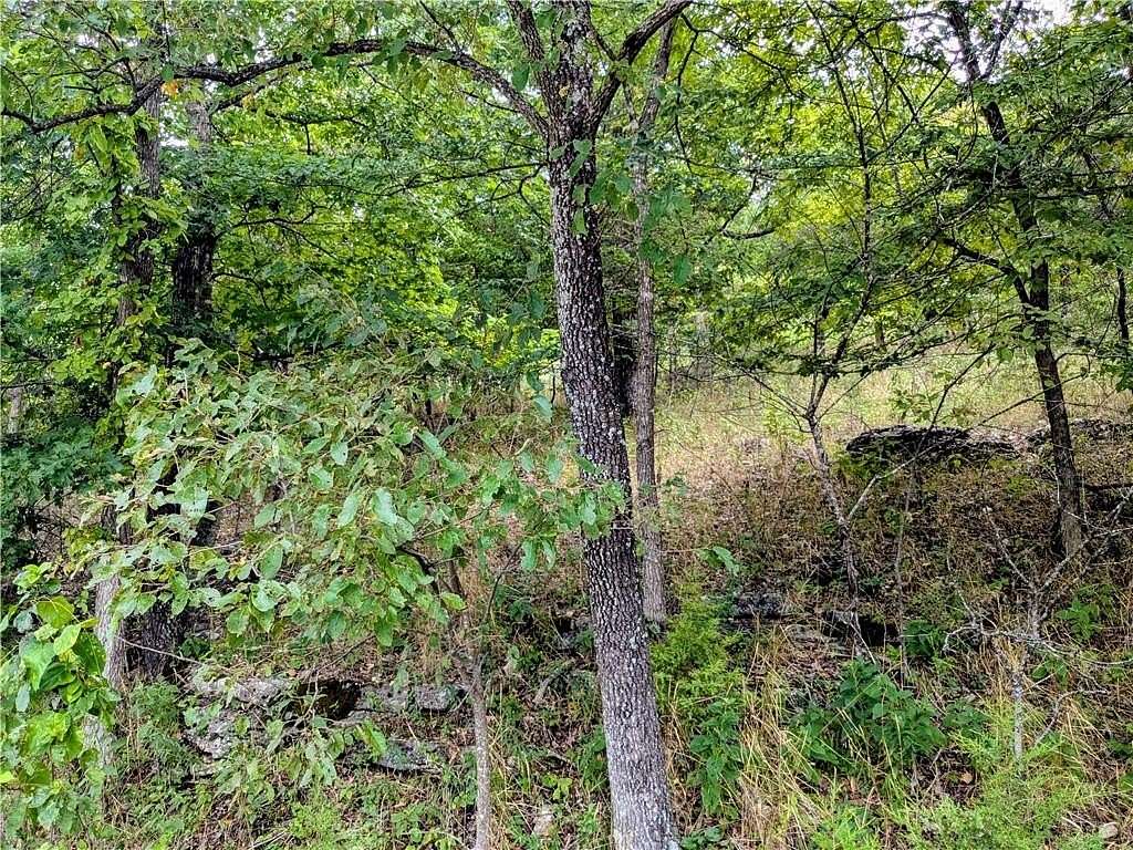 0.39 Acres of Residential Land for Sale in Holiday Island, Arkansas