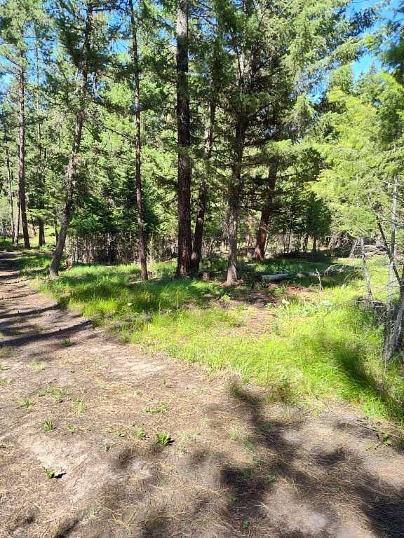 8.22 Acres of Residential Land for Sale in Potomac, Montana