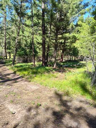 8.22 Acres of Residential Land for Sale in Potomac, Montana