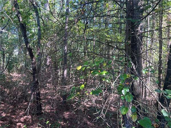 30.2 Acres of Recreational Land for Sale in Westminster, South Carolina