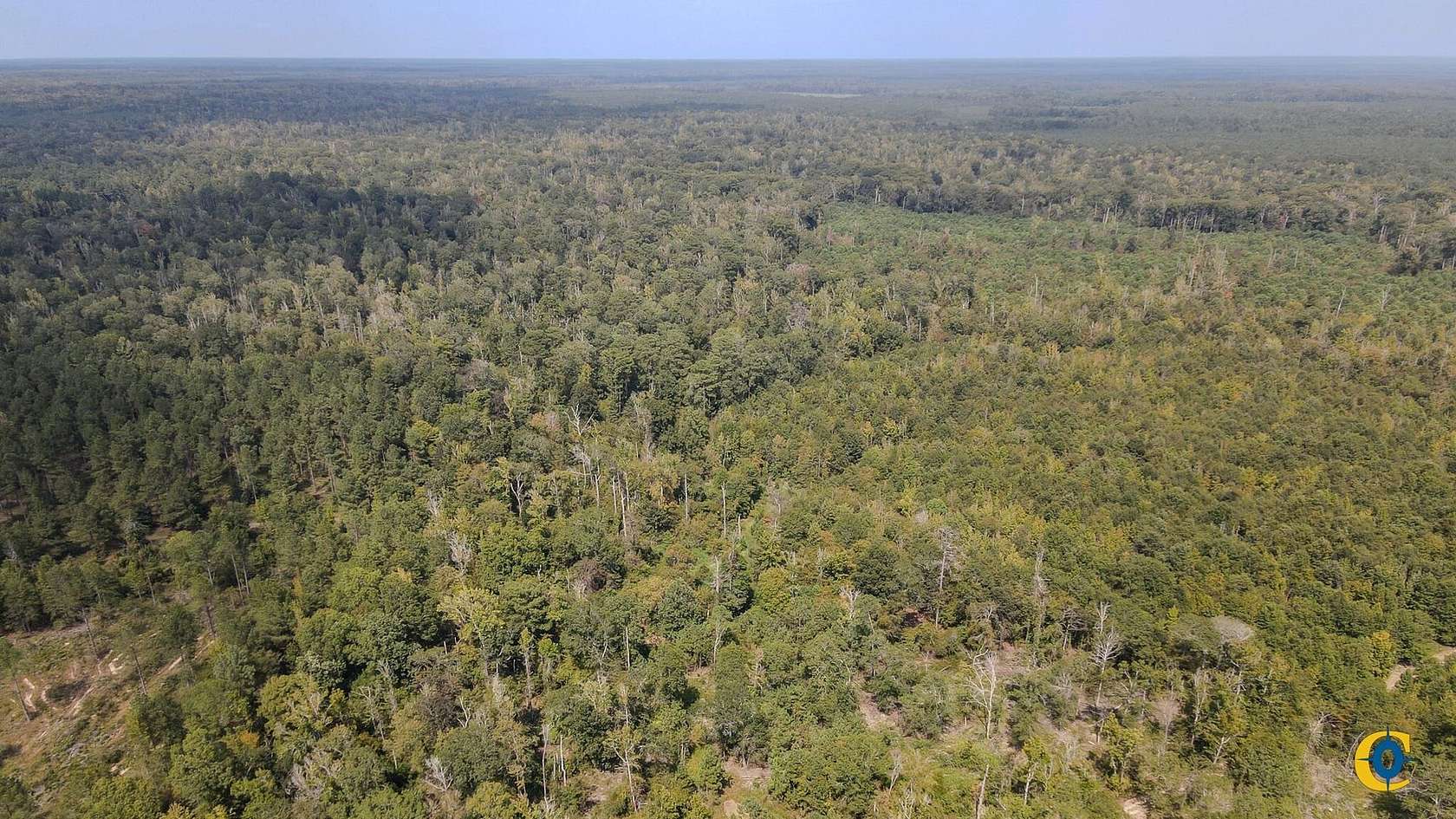 226 Acres of Recreational Land for Sale in Hamburg, Arkansas