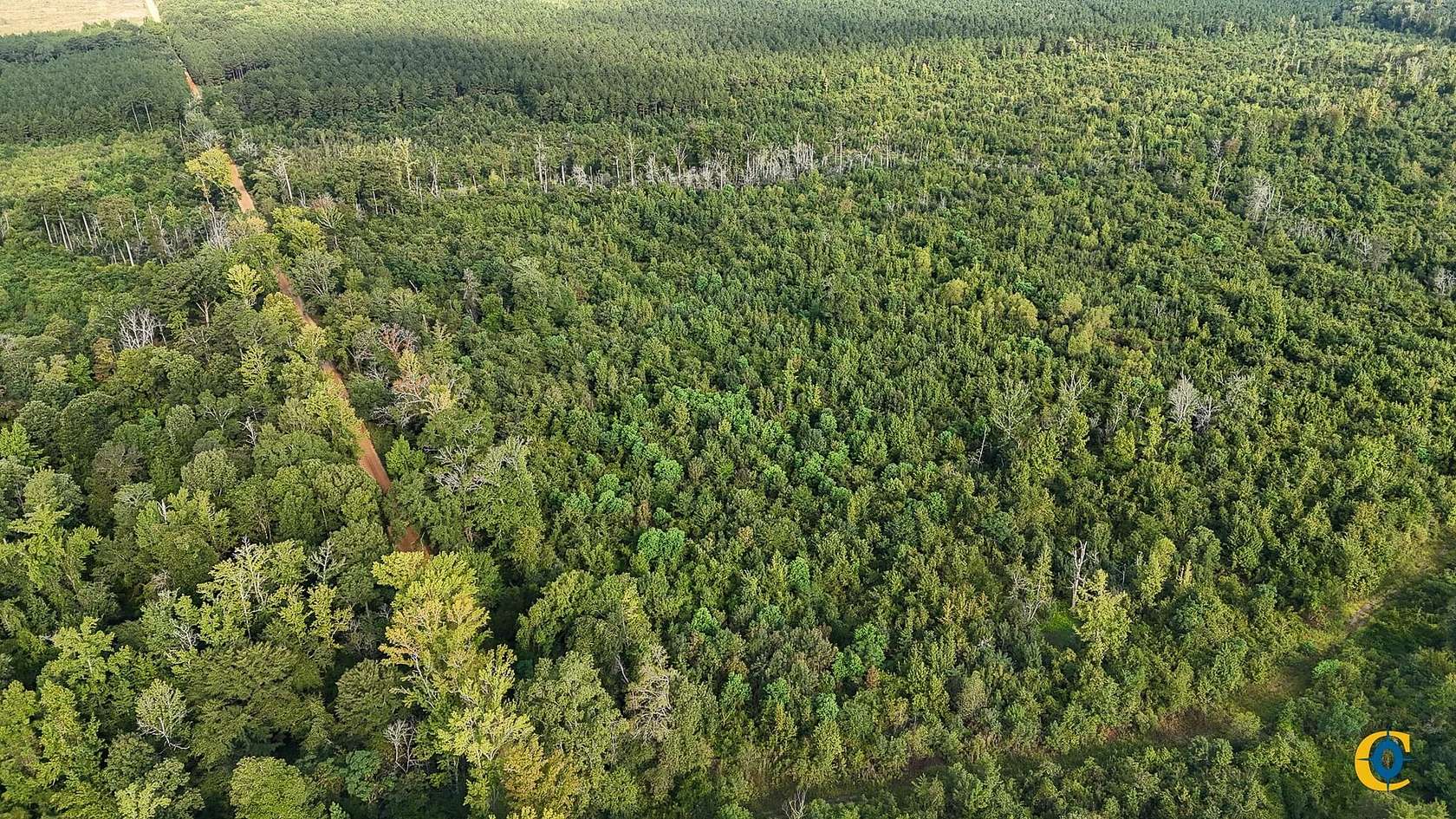 264 Acres of Recreational Land for Sale in Hamburg, Arkansas