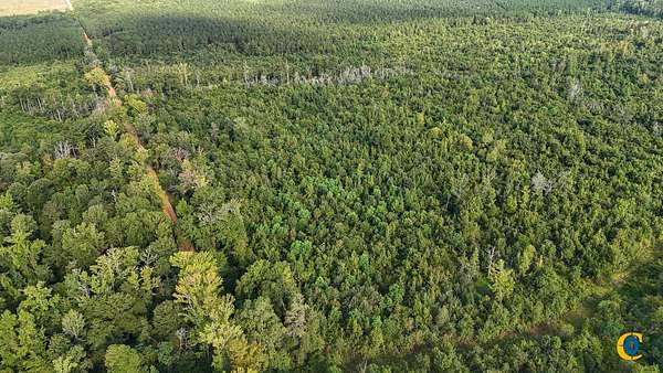 264 Acres of Recreational Land for Sale in Hamburg, Arkansas