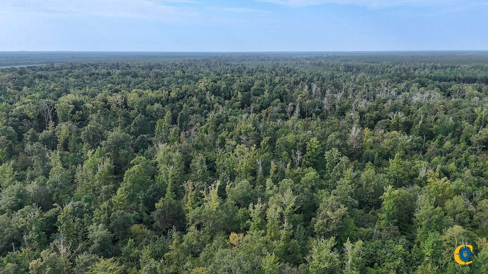 242 Acres of Recreational Land for Sale in Hamburg, Arkansas
