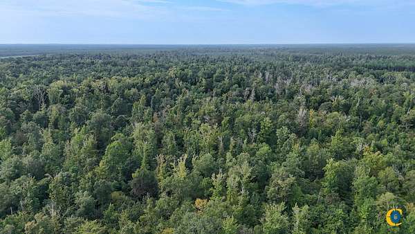 242 Acres of Recreational Land for Sale in Hamburg, Arkansas