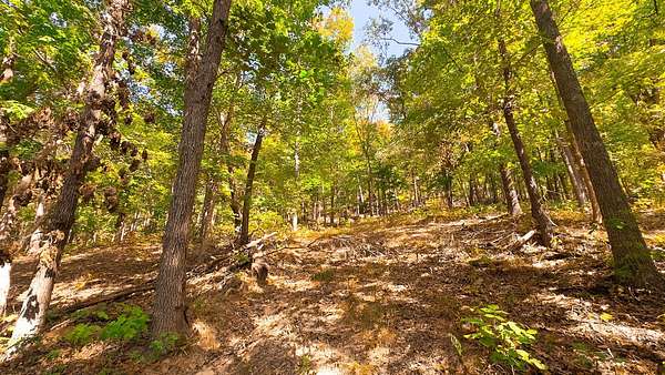 20 Acres of Recreational Land for Sale in Beaver, Ohio