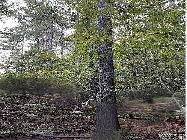 67 Acres of Recreational Land for Sale in Texarkana, Arkansas