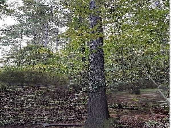 67 Acres of Recreational Land for Sale in Texarkana, Arkansas