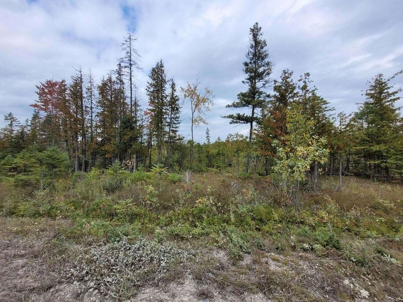 20 Acres of Land for Sale in Rogers City, Michigan