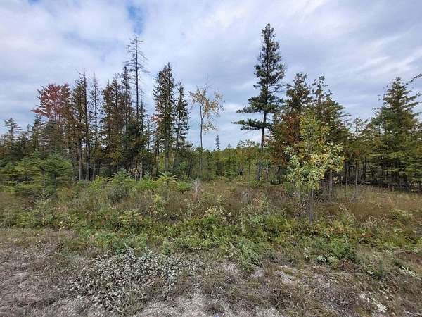 20 Acres of Land for Sale in Rogers City, Michigan