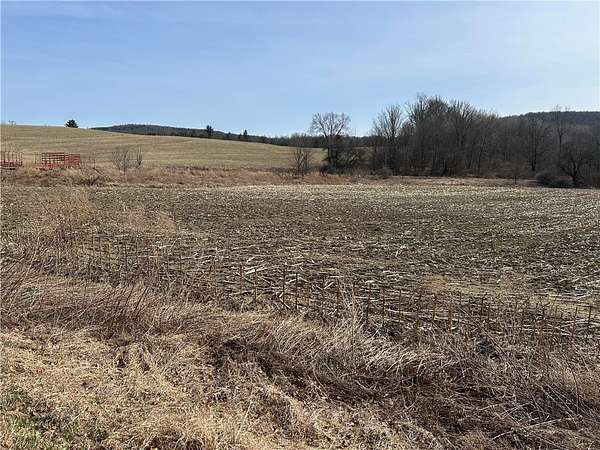 27.5 Acres of Land for Sale in Bainbridge, New York