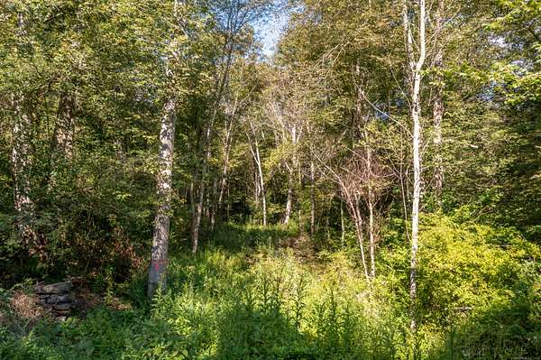3.2 Acres of Residential Land for Sale in Canterbury, Connecticut