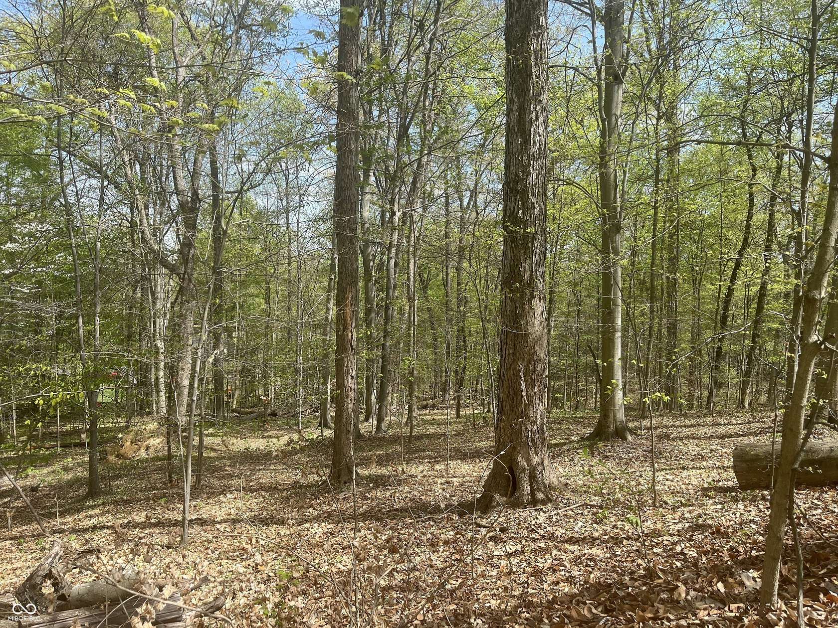 0.82 Acres of Residential Land for Sale in Martinsville, Indiana