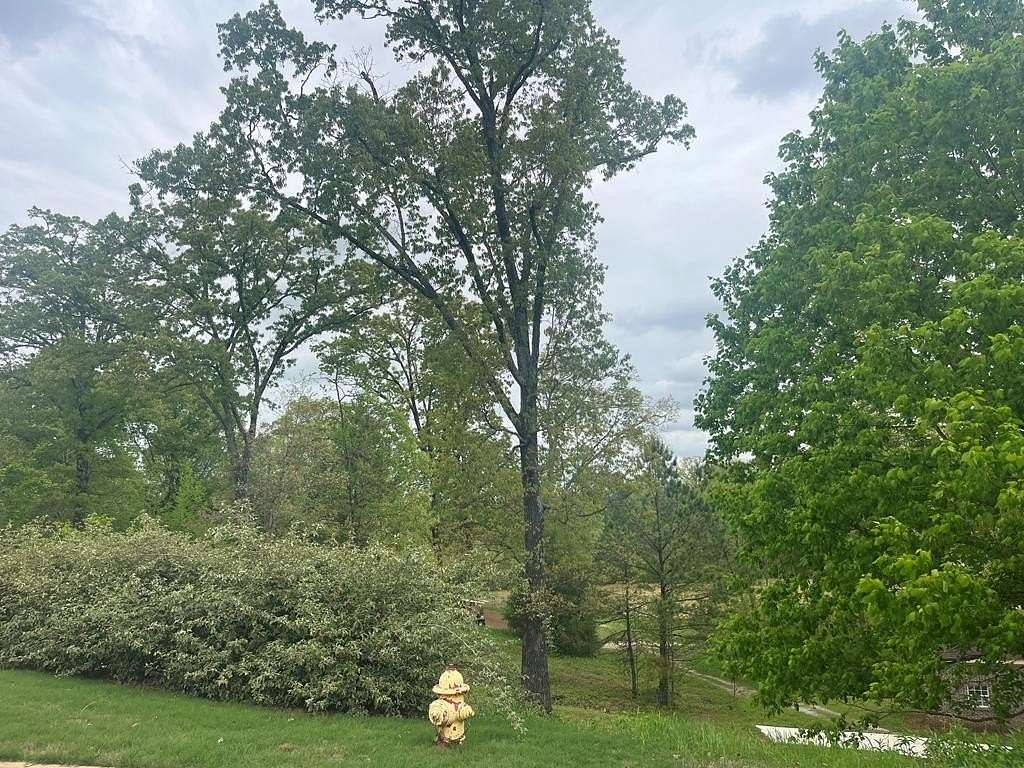 0.34 Acres of Residential Land for Sale in Oxford, Mississippi