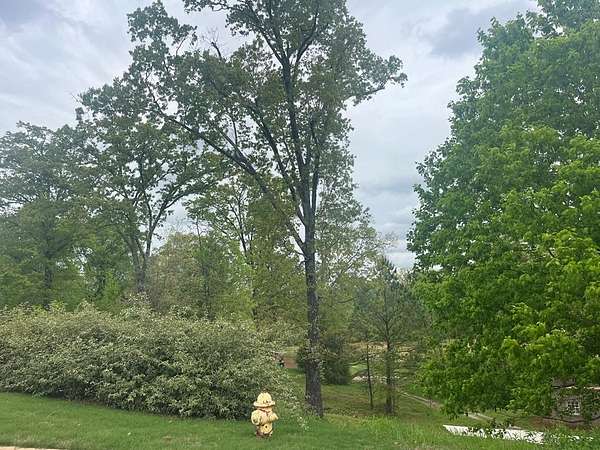 0.34 Acres of Residential Land for Sale in Oxford, Mississippi