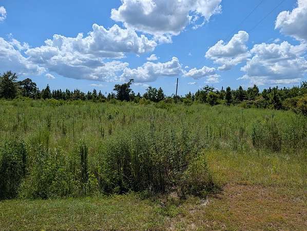 2 Acres of Residential Land for Sale in Wewahitchka, Florida