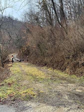 92 Acres of Land for Sale in Louisa, Kentucky