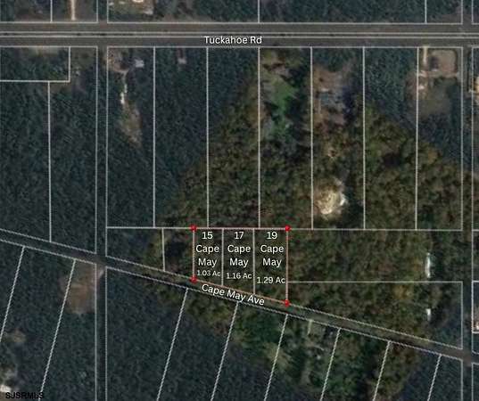 3.48 Acres of Residential Land for Sale in Dorothy, New Jersey