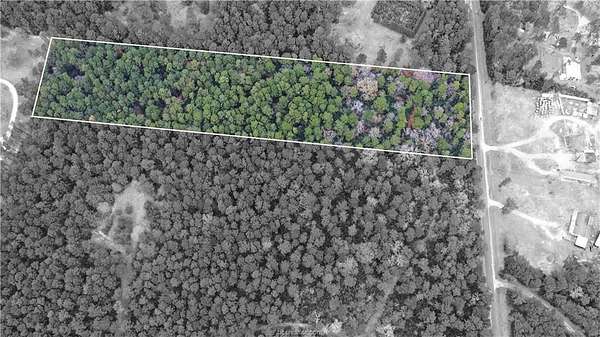 12.5 Acres of Recreational Land for Sale in Navasota, Texas