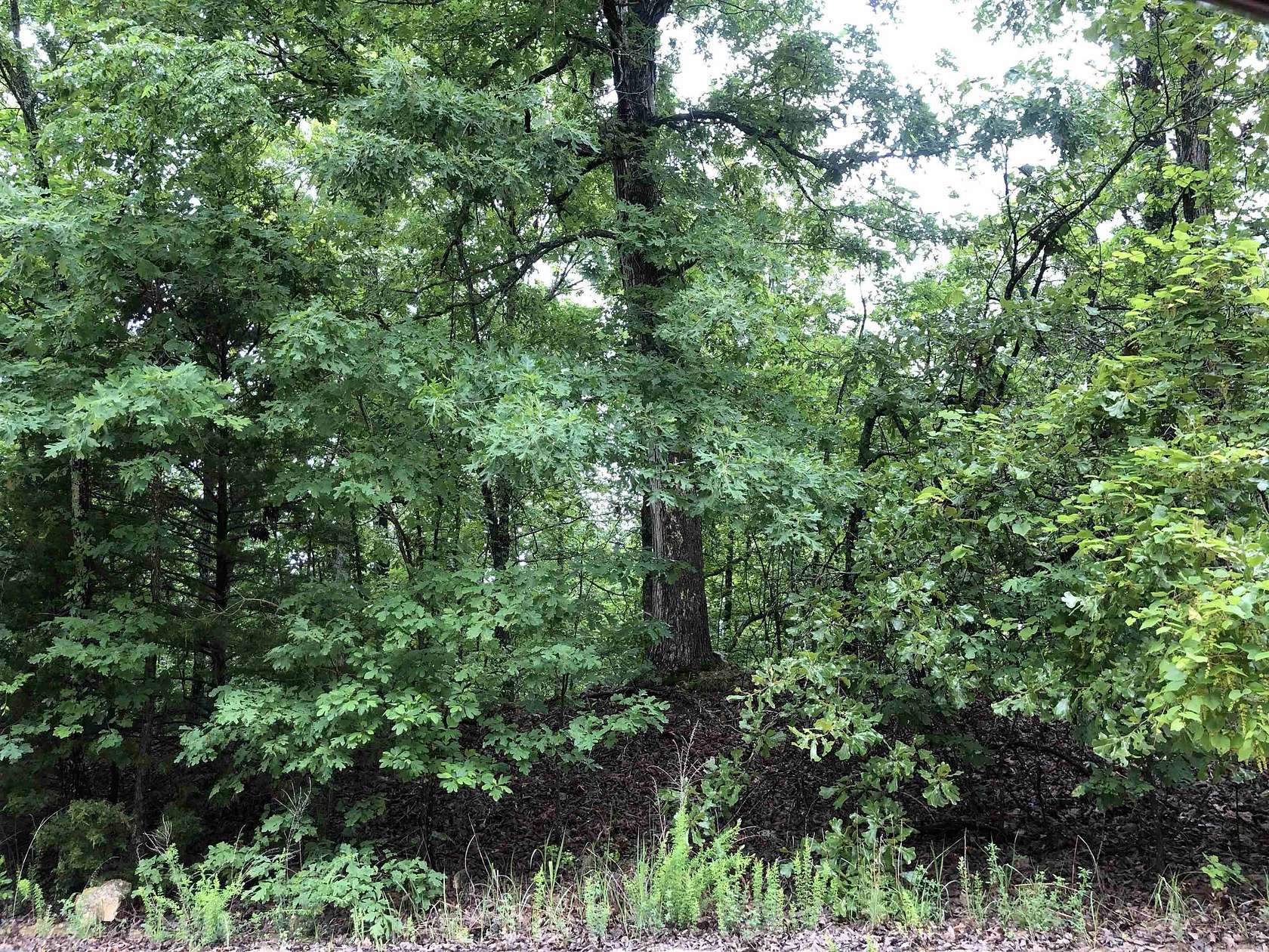 0.25 Acres of Residential Land for Sale in Cherokee Village, Arkansas