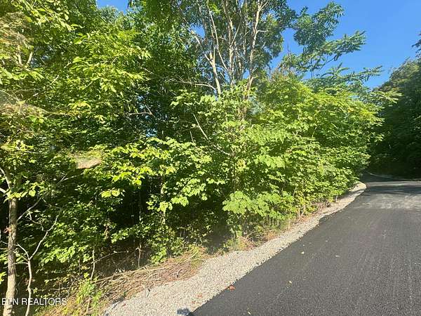 1 Acre of Land for Sale in Allons, Tennessee