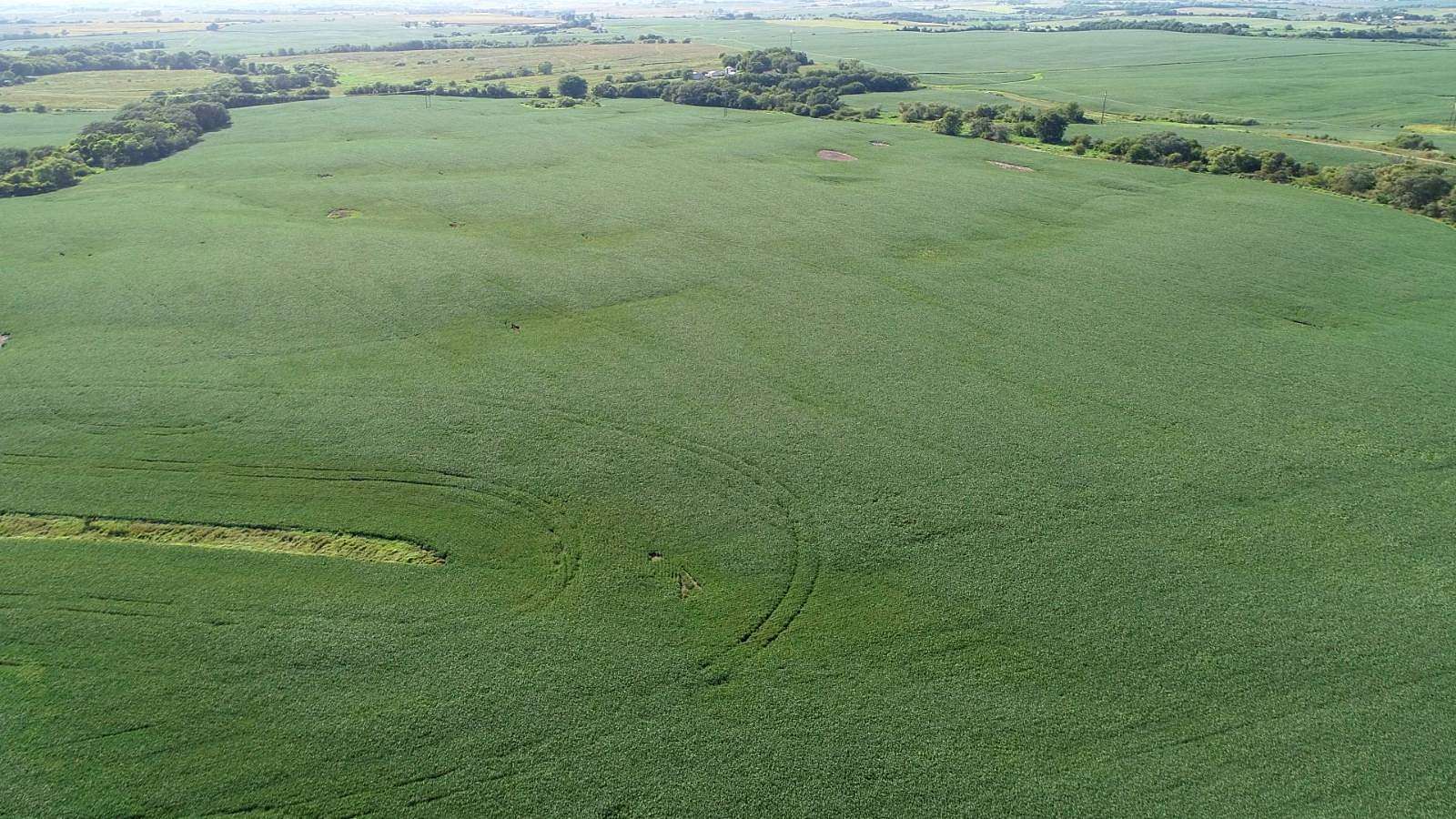 232 Acres of Agricultural Land for Sale in Clearfield, Iowa