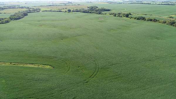 232 Acres of Agricultural Land for Sale in Clearfield, Iowa