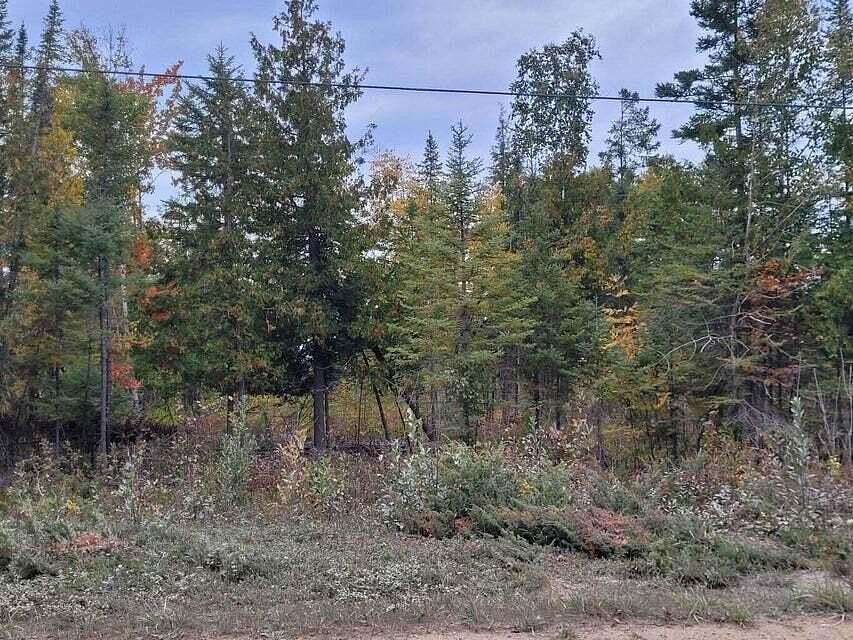 30 Acres of Land for Sale in Rogers City, Michigan