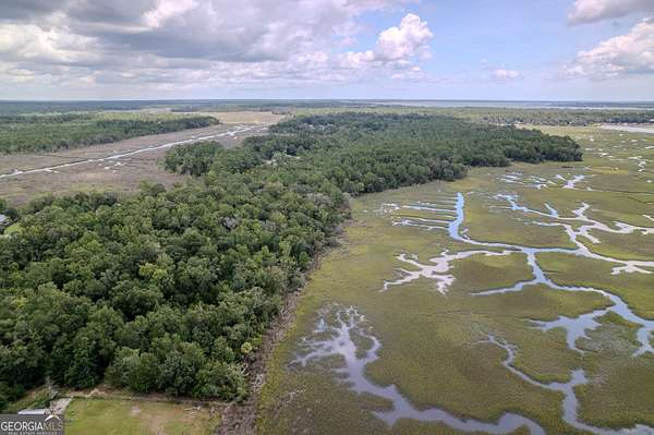 6 Acres of Residential Land for Sale in Woodbine, Georgia