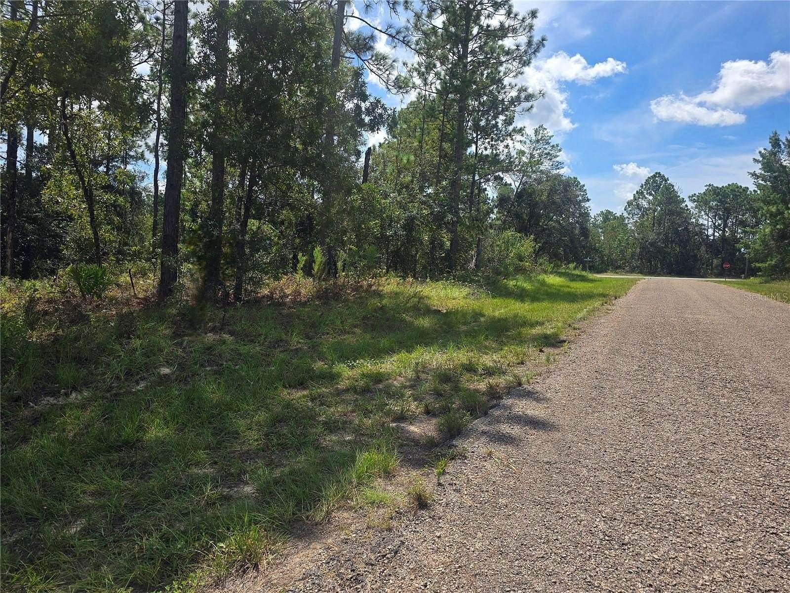 0.23 Acres of Residential Land for Sale in Dunnellon, Florida