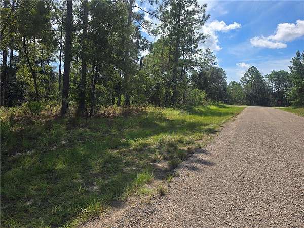 0.23 Acres of Residential Land for Sale in Dunnellon, Florida