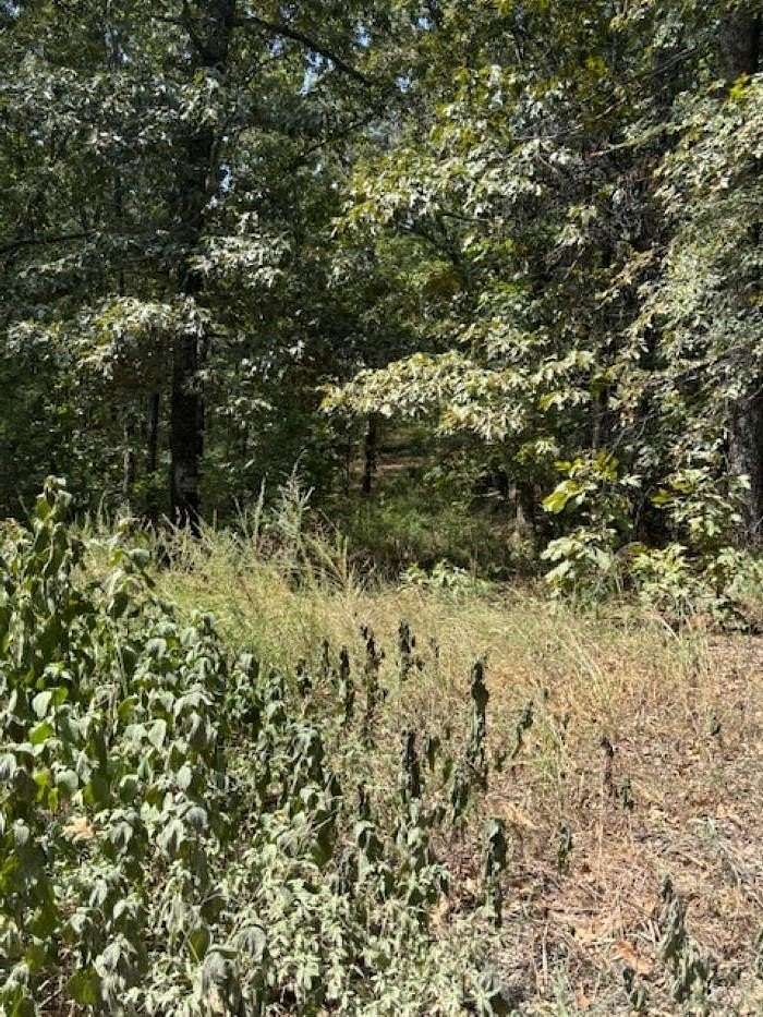 13 Acres of Land for Sale in Highland, Arkansas