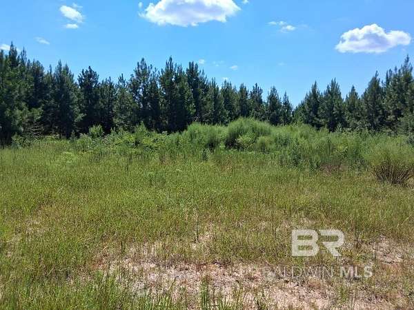 3 Acres of Land for Sale in Robertsdale, Alabama