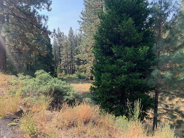 0.36 Acres of Land for Sale in Portola, California
