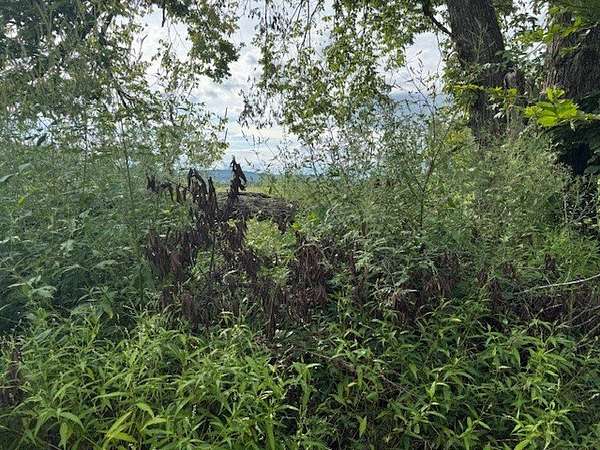 0.59 Acres of Residential Land for Sale in Lincoln, Arkansas