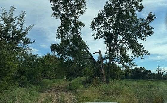 0.59 Acres of Residential Land for Sale in Lincoln, Arkansas