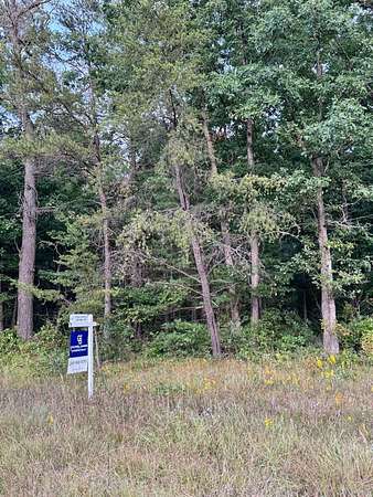 10.5 Acres of Land for Sale in Baldwin, Michigan