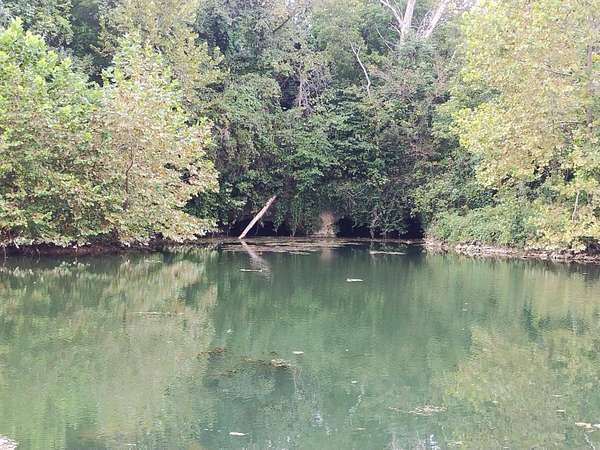 17 Acres of Recreational Land for Sale in Hartville, Missouri