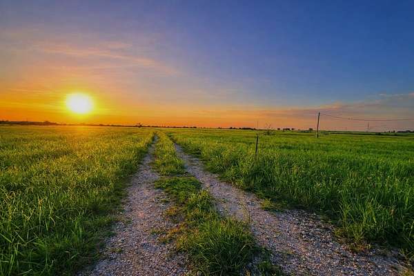 49 Acres of Recreational Land for Sale in Bedias, Texas