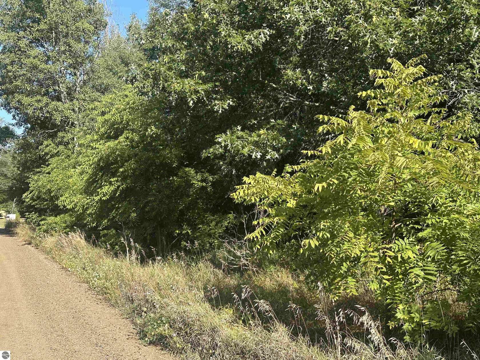 1.7 Acres of Land for Sale in Lake, Michigan