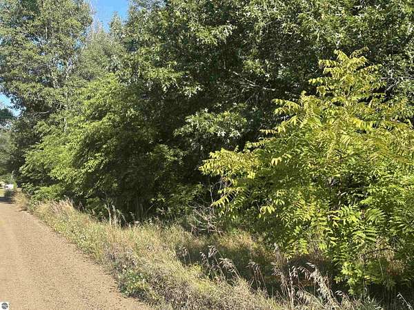 1.7 Acres of Land for Sale in Lake, Michigan