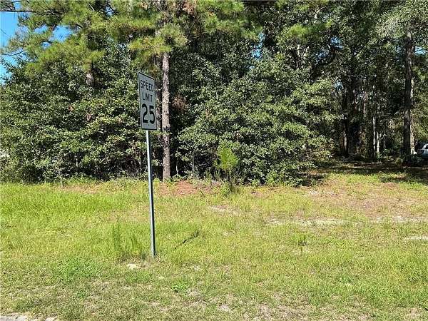 0.67 Acres of Residential Land for Sale in Blackshear, Georgia