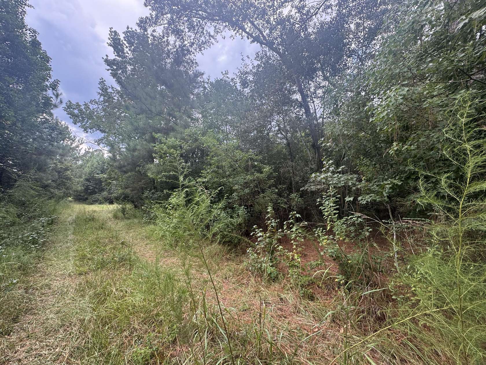 8.8 Acres of Land for Sale in Hattiesburg, Mississippi