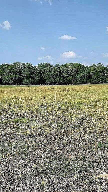 20 Acres of Land for Sale in High Springs, Florida
