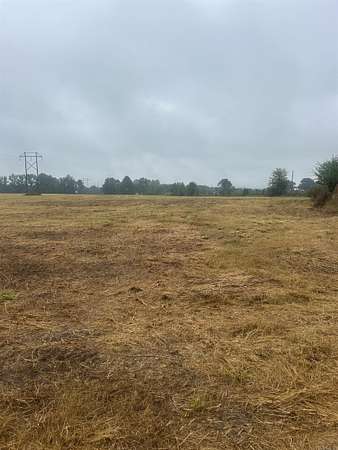 43 Acres of Agricultural Land for Sale in Pangburn, Arkansas