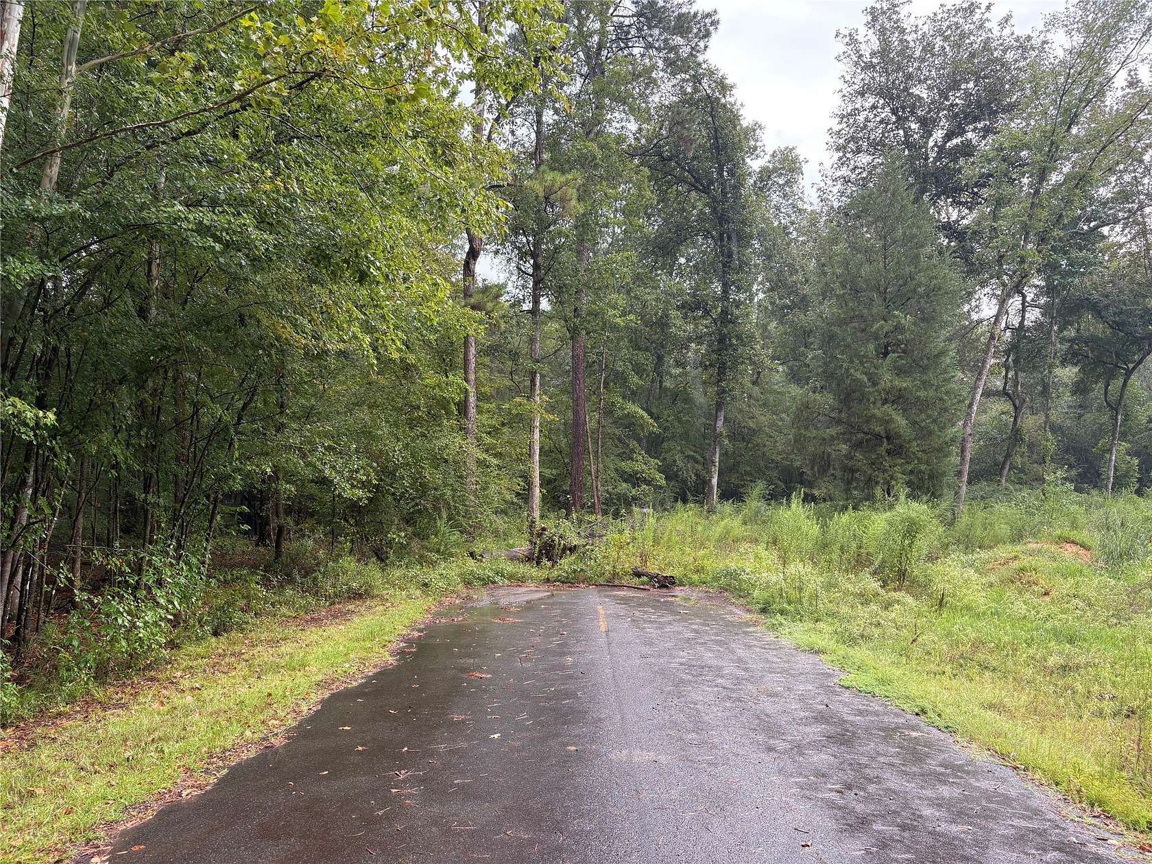 40.7 Acres of Recreational & Residential Land for Sale in Haughton, Louisiana